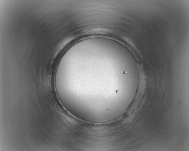 X0000062131066200512231432