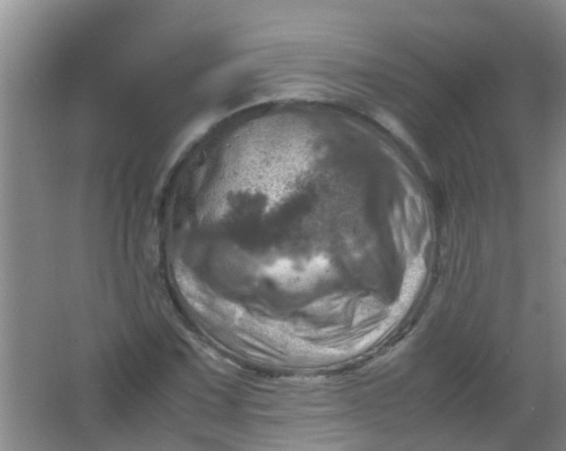 X0000062131067200512231432