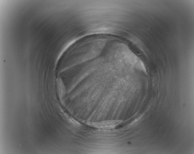 X0000062131069200512231432