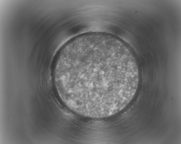 X0000062131070200512231432