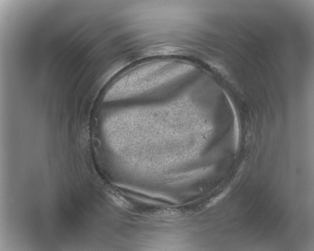 X0000062131073200512231431