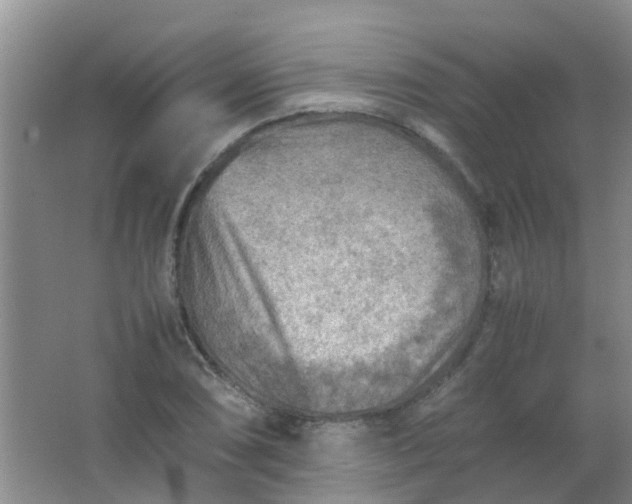 X0000062131074200512231431