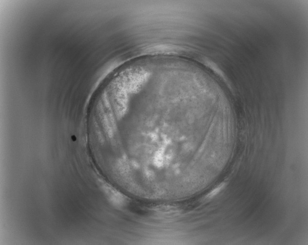 X0000062131075200512231431