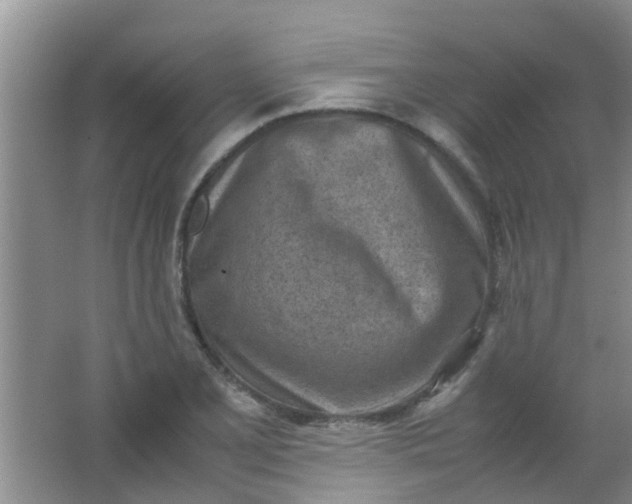 X0000062131077200512231431