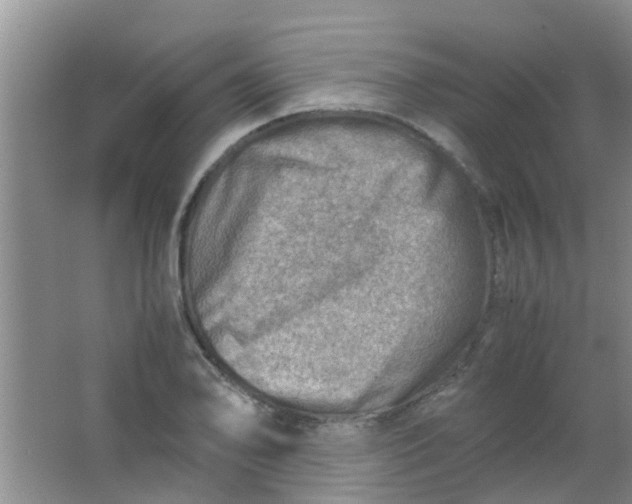 X0000062131078200512231431