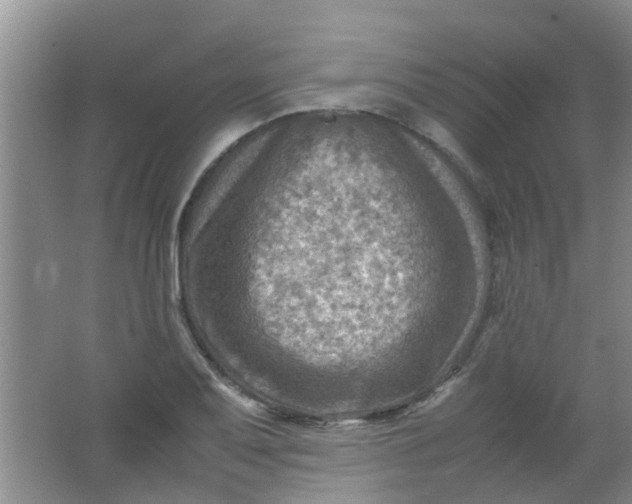 X0000062131079200512231431