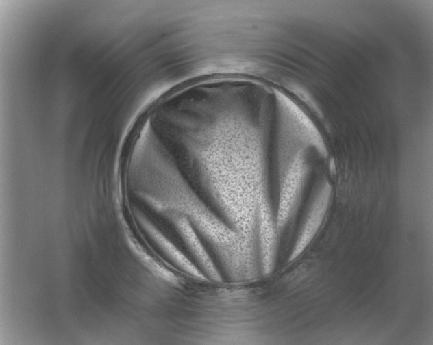 X0000062131080200512231431