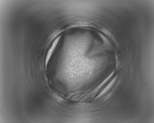 X0000062131081200512231431