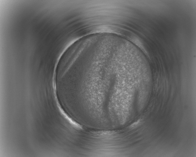 X0000062131084200512231431