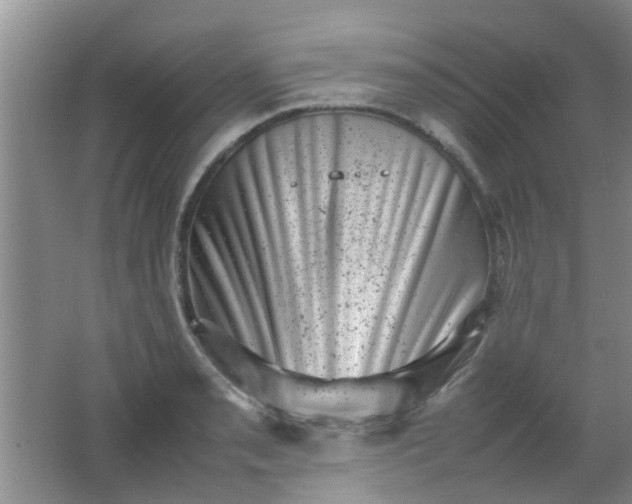 X0000062131085200512231431