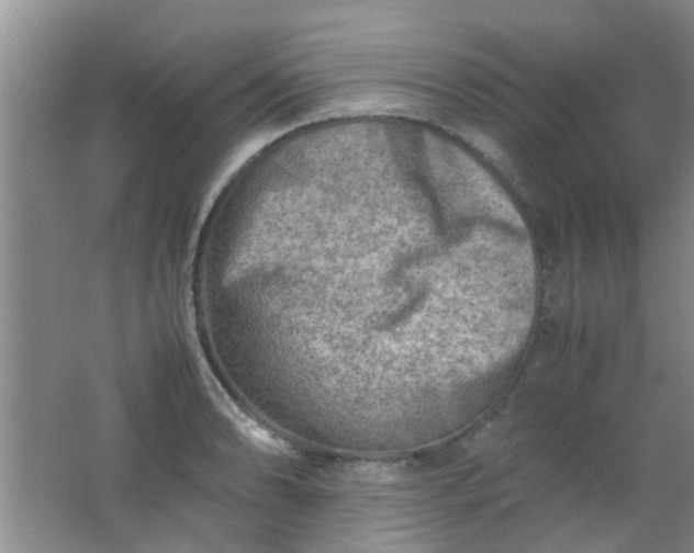 X0000062131086200512231431