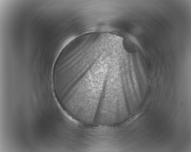 X0000062131087200512231431