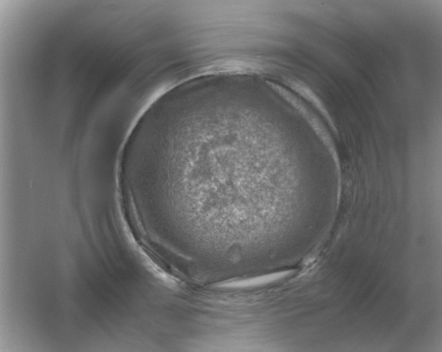 X0000062131091200512231431