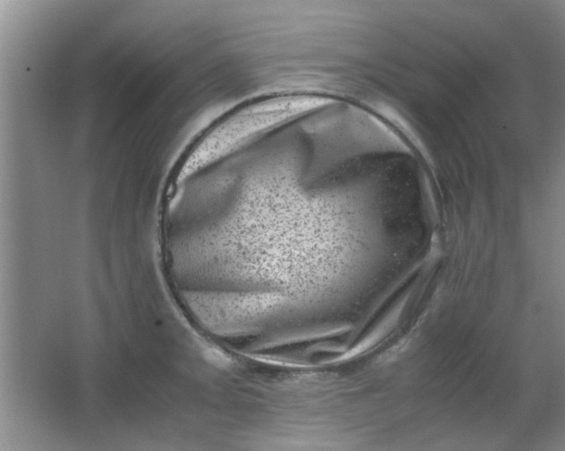 X0000062131093200512231431