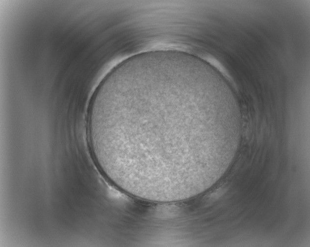 X0000062131094200512231431