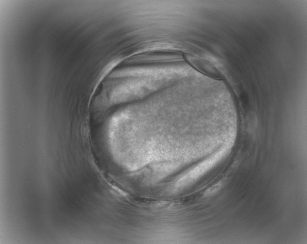 X0000062131097200512231431