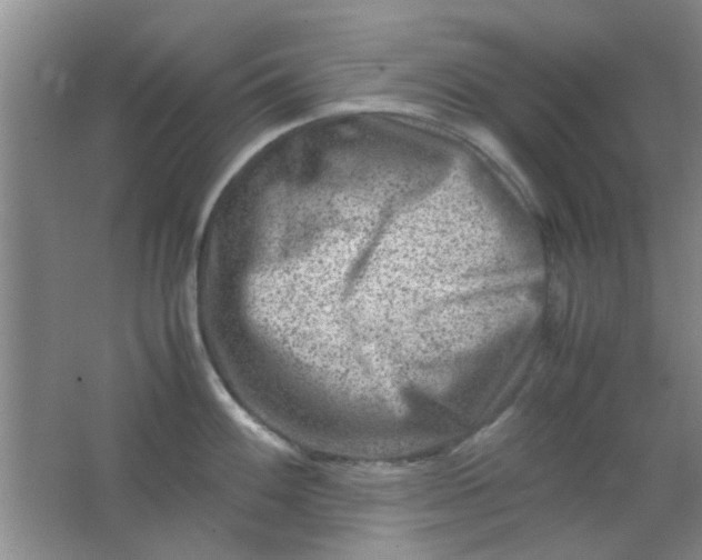 X0000062131100200512231431