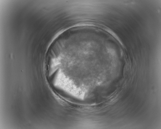 X0000062131101200512231431