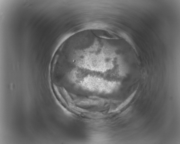 X0000062131103200512231431