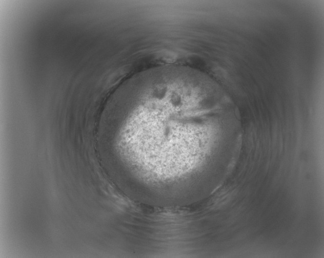 X0000062131105200512231430