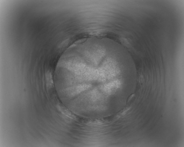 X0000062131106200512231430