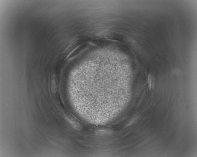 X0000062131107200512231430