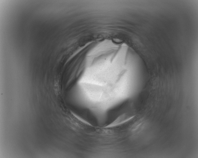 X0000062131109200512231430