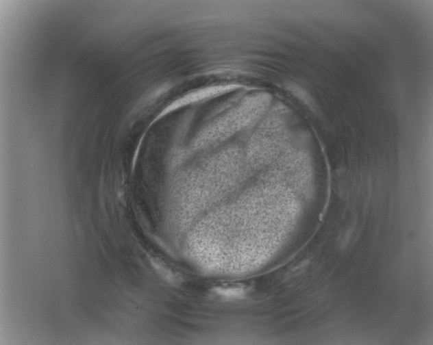 X0000062131111200512231430