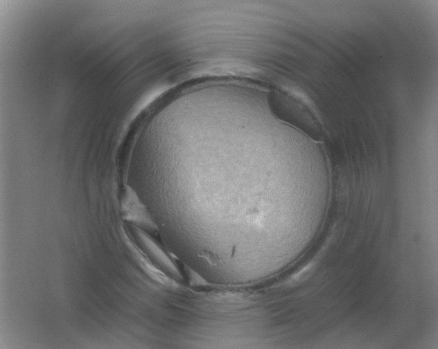 X0000062131114200512231430