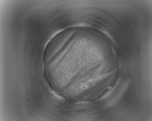 X0000062131117200512231430