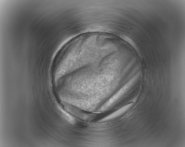 X0000062131120200512231430