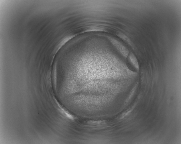 X0000062131121200512231430