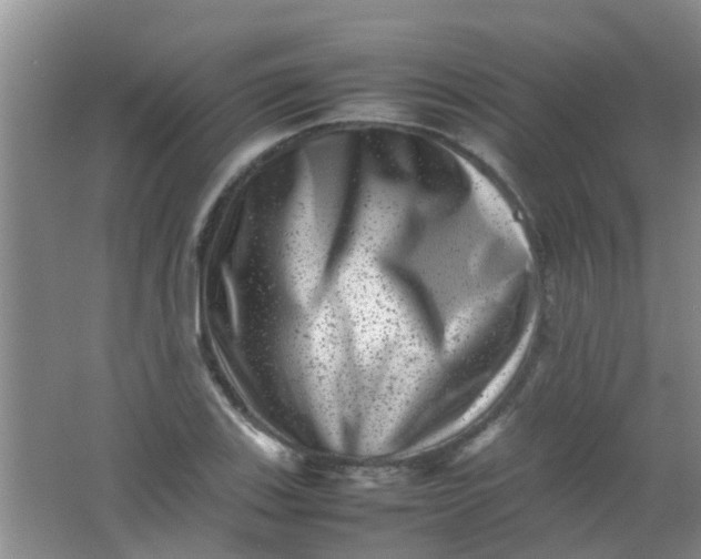 X0000062131123200512231430