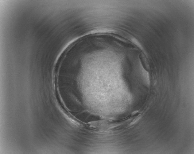 X0000062131124200512231430