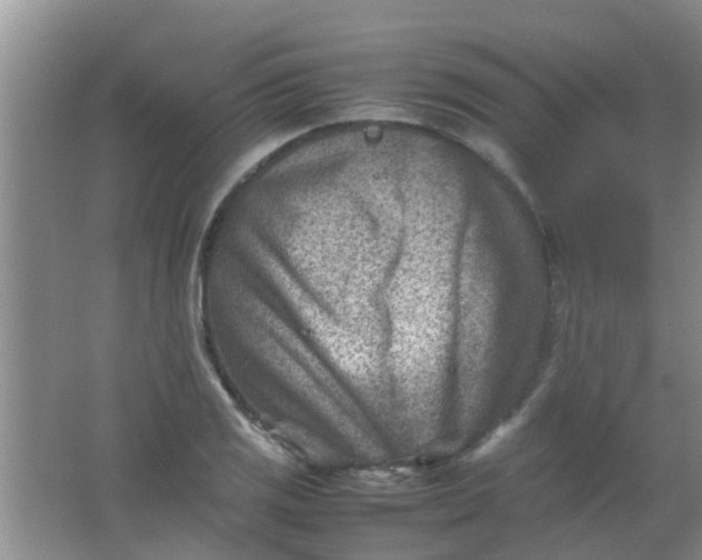 X0000062131125200512231430