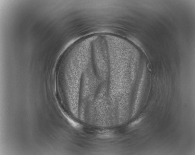 X0000062131127200512231430