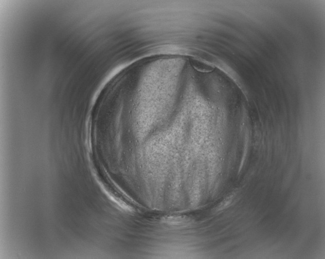 X0000062131128200512231431