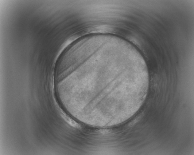 X0000062131130200512231431