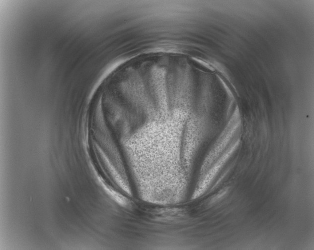 X0000062131131200512231431