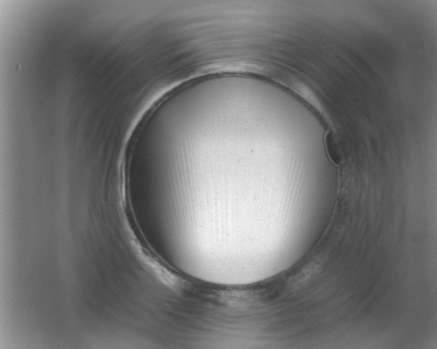 X0000062131132200512231431