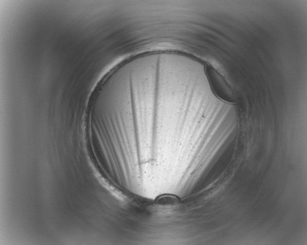 X0000062131134200512231431