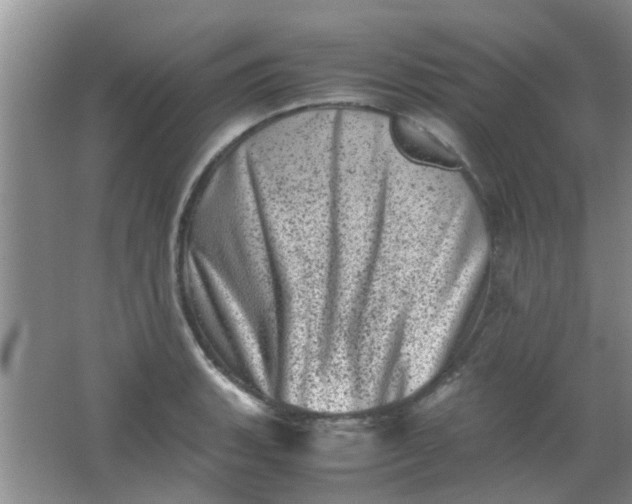 X0000062131135200512231431