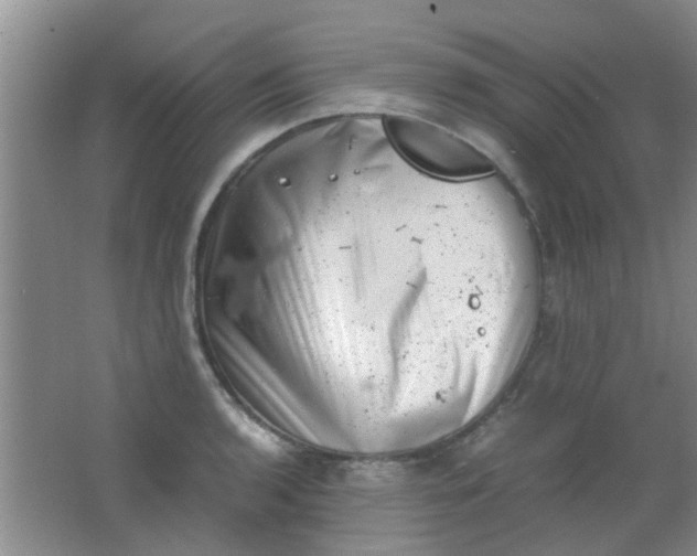 X0000062131136200512231431