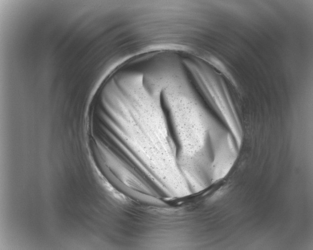 X0000062131140200512231431