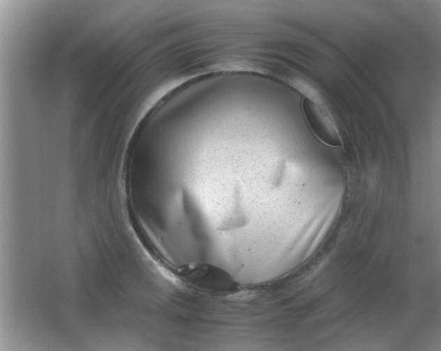 X0000062131141200512231431