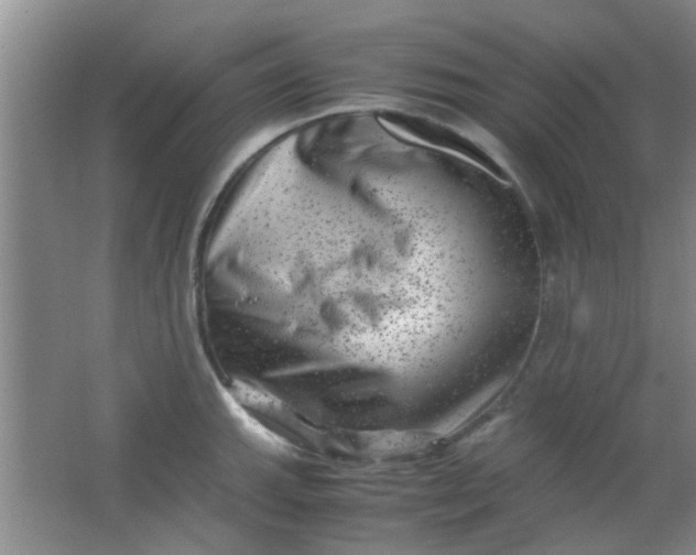 X0000062131143200512231431