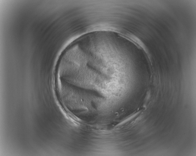 X0000062131144200512231431