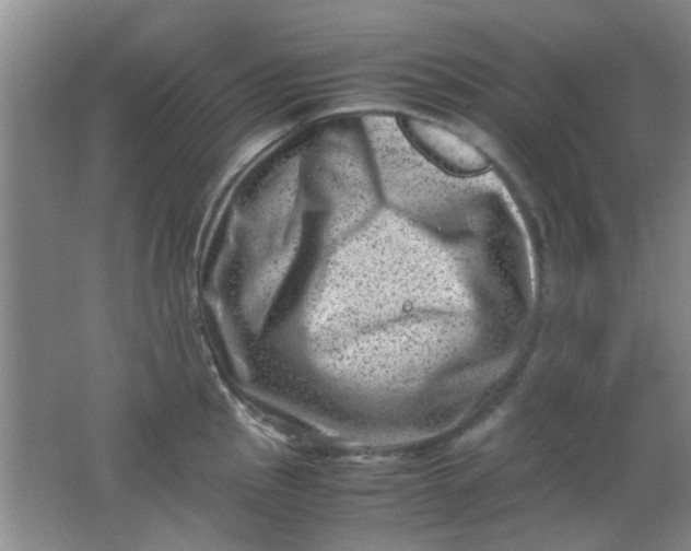 X0000062131145200512231431