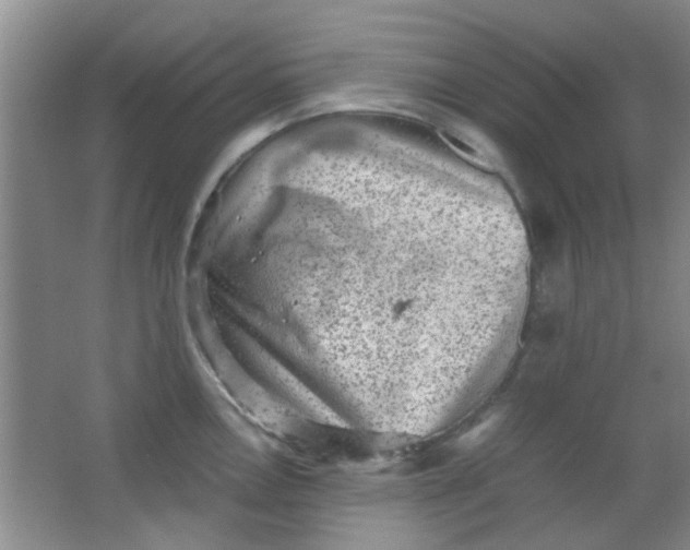 X0000062131146200512231431