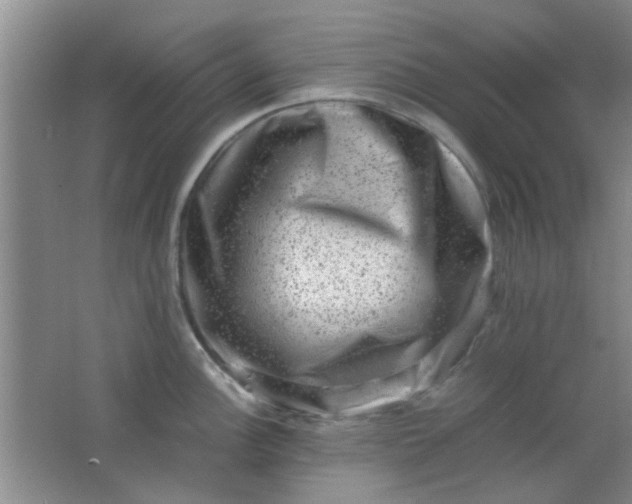 X0000062131148200512231431